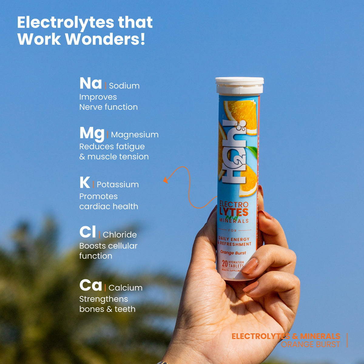 Electrolytes & Minerals